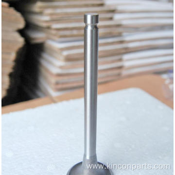 Engine Valves CY4102